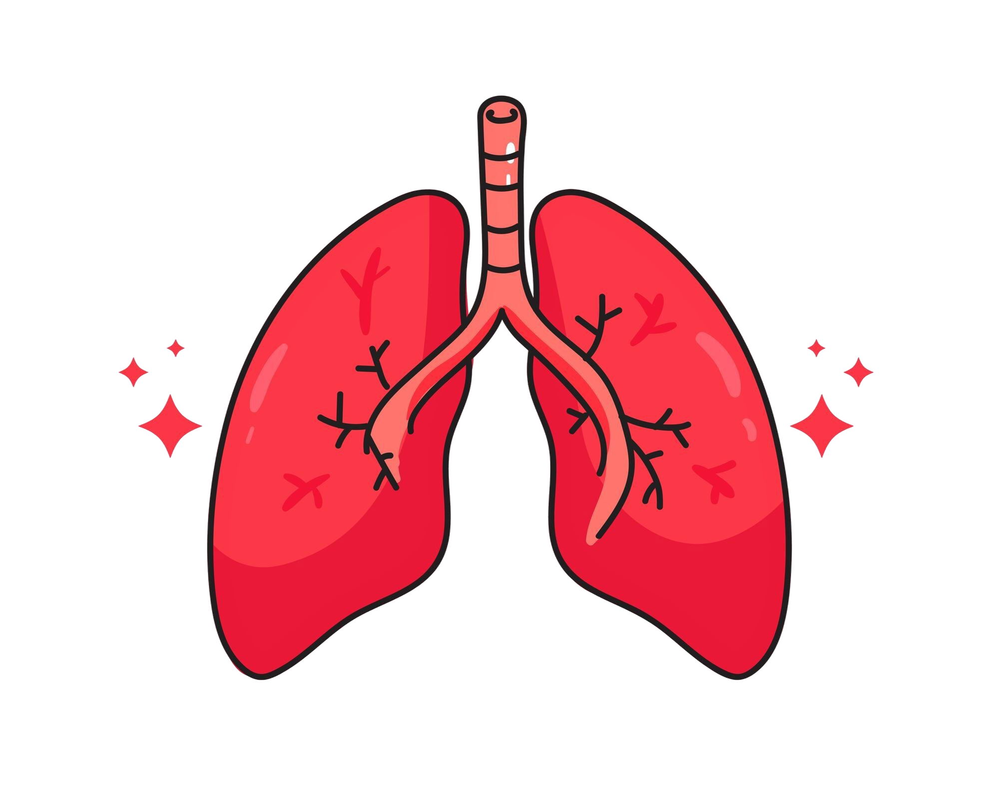 lung-human-anatomy-biology-organ-body-system-health-care-medical-hand-drawn-cartoon-art-illustration