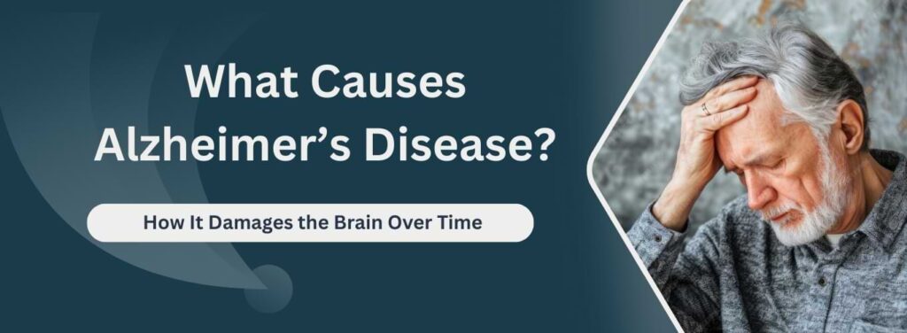 Causes of Alzheimer’s Disease How It Damages the Brain Over Time