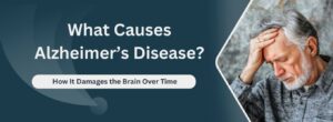 What Causes Alzheimer’s Disease and Its Effects on the Brain