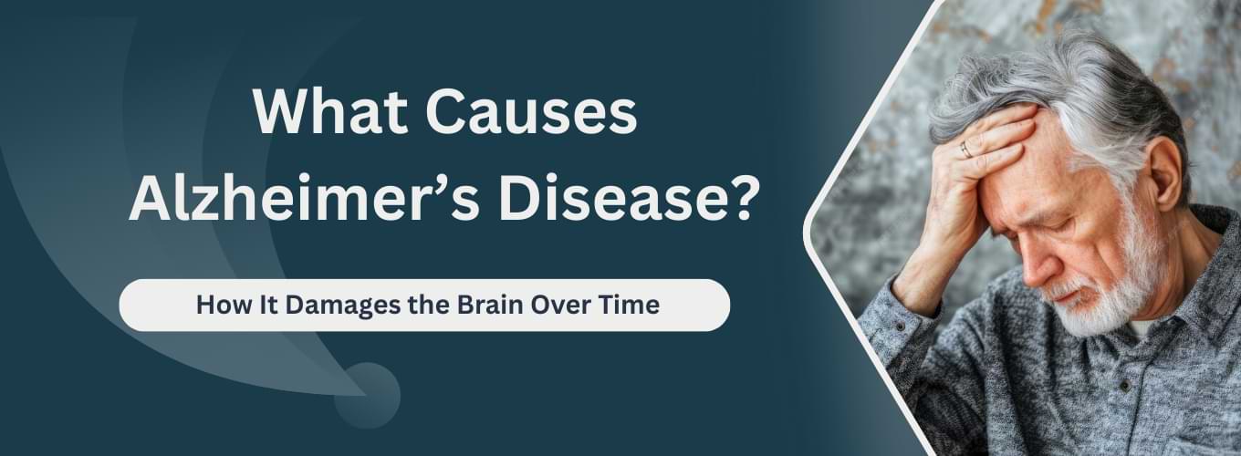 Causes of Alzheimer’s Disease How It Damages the Brain Over Time